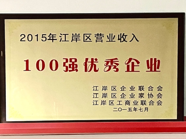 江岸区营收100强优秀企业